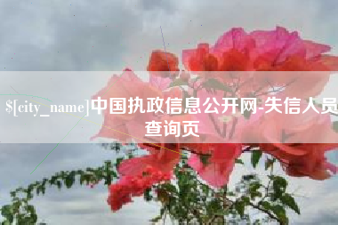 昆山中国执政信息公开网-失信人员查询页