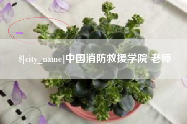 昆山中国消防救援学院 老师