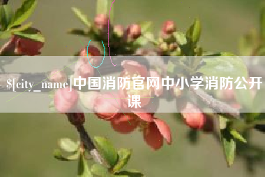 昆山中国消防官网中小学消防公开课