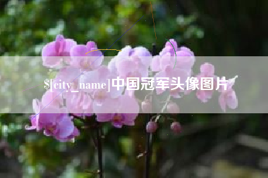 昆山中国冠军头像图片