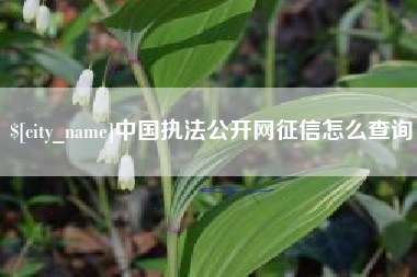 昆山中国执法公开网征信怎么查询