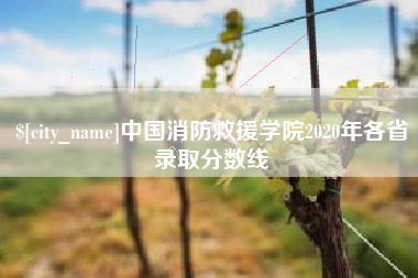 昆山中国消防救援学院2020年各省录取分数线