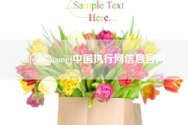 昆山中国执行网信息官网