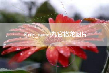 昆山九宫格龙图片