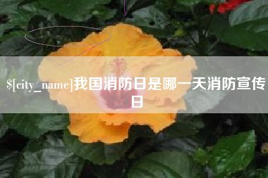 昆山我国消防日是哪一天消防宣传日