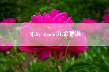 昆山九金是谁
