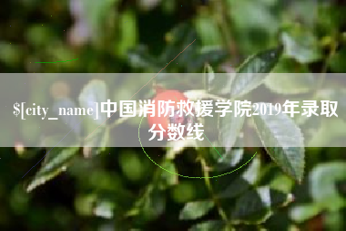 昆山中国消防救援学院2019年录取分数线