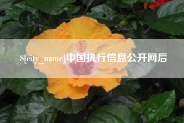 昆山中国执行信息公开网后