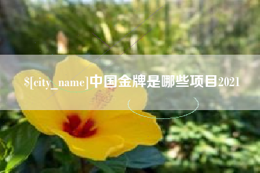 昆山中国金牌是哪些项目2021