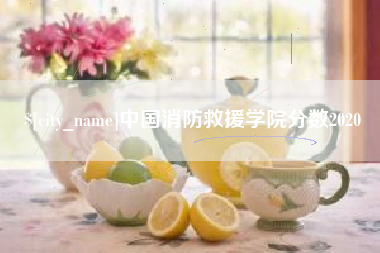 昆山中国消防救援学院分数2020