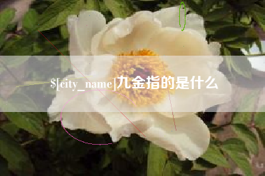 昆山九金指的是什么