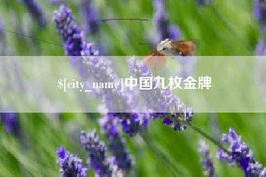 昆山中国九枚金牌
