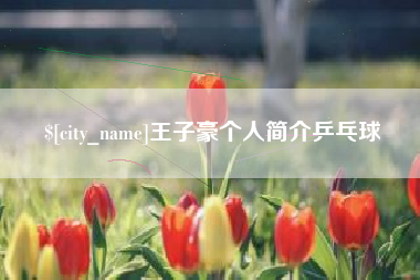昆山王子豪个人简介乒乓球