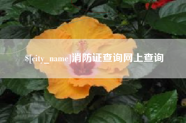 昆山消防证查询网上查询