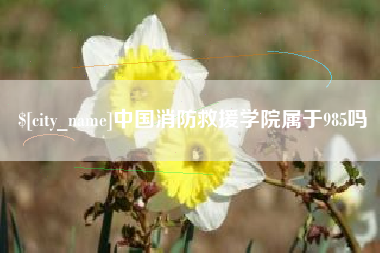 昆山中国消防救援学院属于985吗