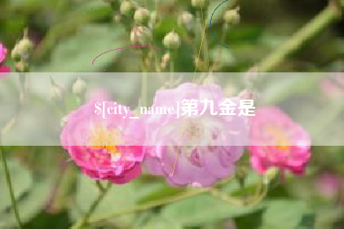 昆山第九金是