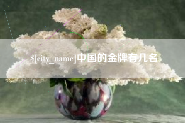 昆山中国的金牌有几名