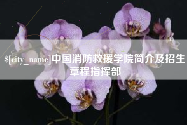 昆山中国消防救援学院简介及招生章程指挥部
