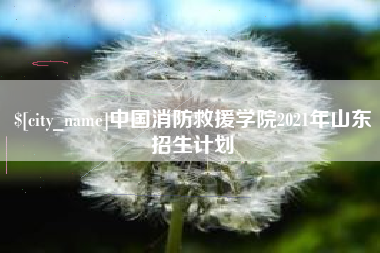 昆山中国消防救援学院2021年山东招生计划