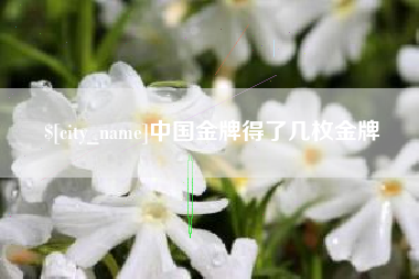 昆山中国金牌得了几枚金牌