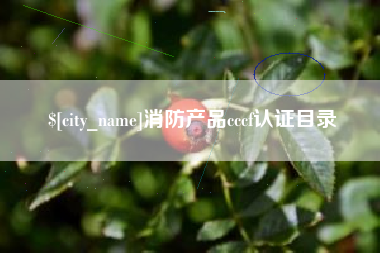 昆山消防产品cccf认证目录