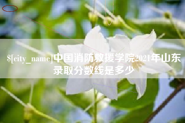 昆山中国消防救援学院2021年山东录取分数线是多少