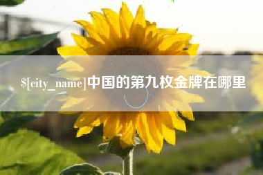昆山中国的第九枚金牌在哪里