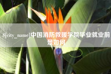 昆山中国消防救援学院毕业就业前景如何