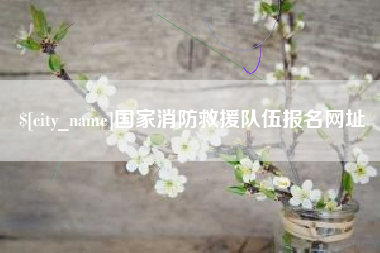 昆山国家消防救援队伍报名网址