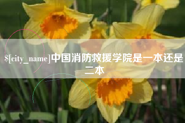 昆山中国消防救援学院是一本还是二本