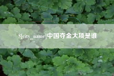 昆山中国夺金大项是谁
