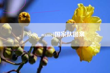昆山国家队图案