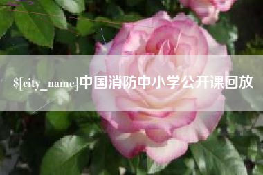 昆山中国消防中小学公开课回放