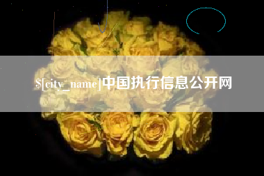 昆山中国执行信息公开网