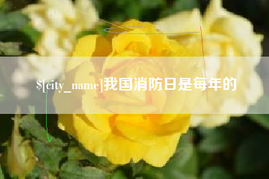 昆山我国消防日是每年的