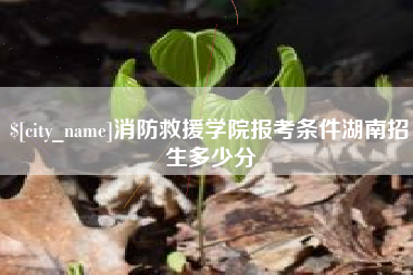 昆山消防救援学院报考条件湖南招生多少分