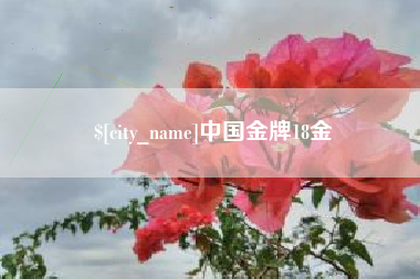 昆山中国金牌18金