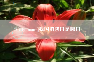 昆山我国消防日是哪日