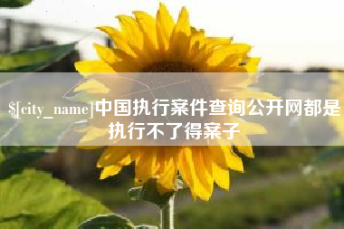 昆山中国执行案件查询公开网都是执行不了得案子