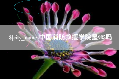 昆山中国消防救援学院是985吗
