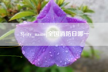 昆山全国消防日哪一