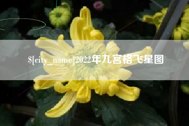 昆山2022年九宫格飞星图