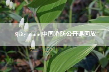 昆山中国消防公开课回放