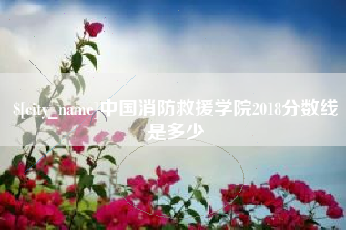 昆山中国消防救援学院2018分数线是多少