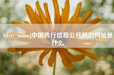 昆山中国执行信息公开网的网址是什么
