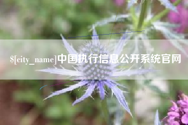 昆山中国执行信息公开系统官网