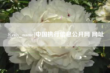 昆山中国执行信息公开网 网址