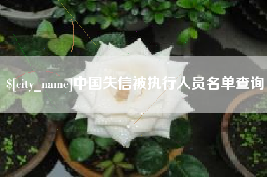 昆山中国失信被执行人员名单查询