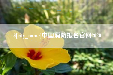 昆山中国消防报名官网2020