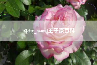 昆山王子豪百科